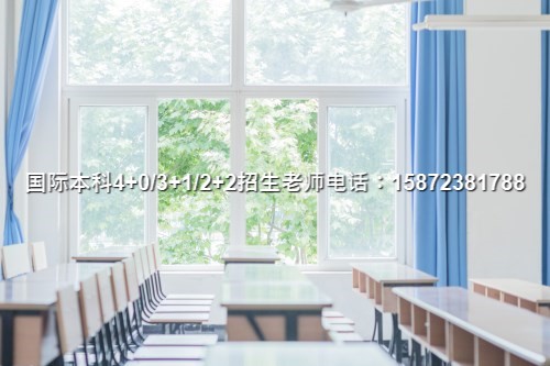 明博体育网址2024四川大学中外合作办学专业一览(图4)