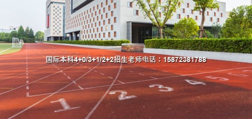 2024对外经济贸易大学国际本科专业(推荐名单一览明博体育平台)(图4)