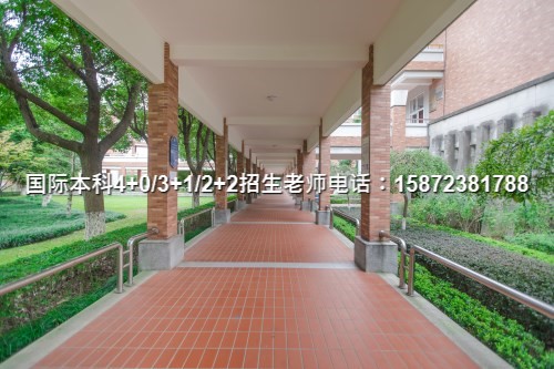 明博体育平台2024广东学院3加1专业一览(图5)