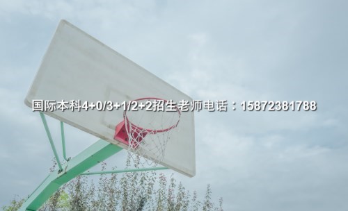 明博体育平台2024广东学院3加1专业一览(图4)